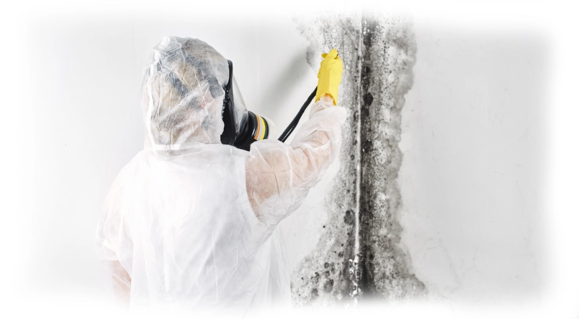 Specialist in PPE removing mould from a wall